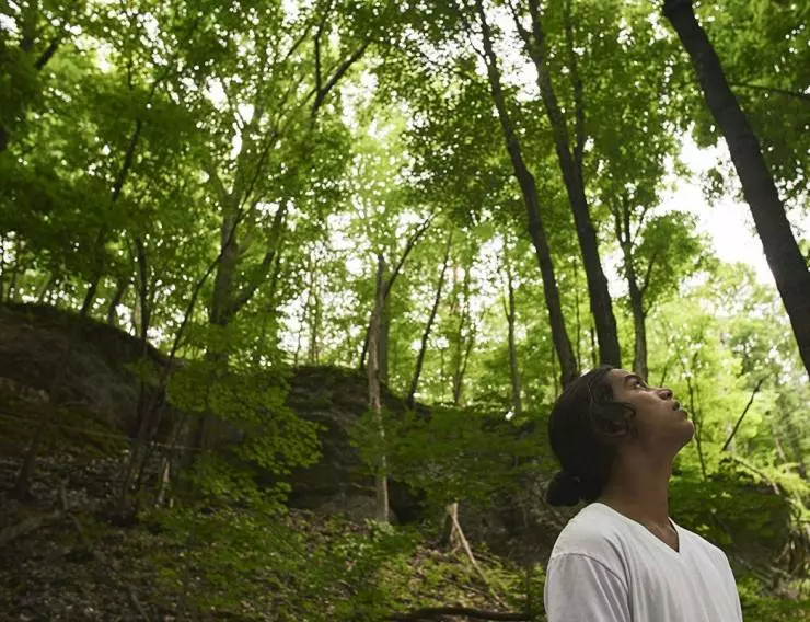 Зеленый дельфин 2019 скачать торрентом Зеленый дельфин 2019 скачать торрентом