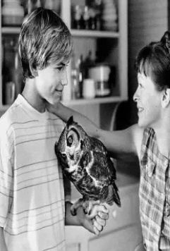 Дикая Америка 1997 скачать с торрента Дикая Америка 1997 скачать с торрента