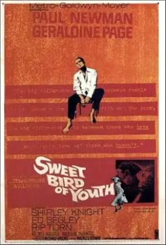 Сладкоголосая птица юности / Sweet Bird of Youth 1962 скачать через торрент в хорошем качестве