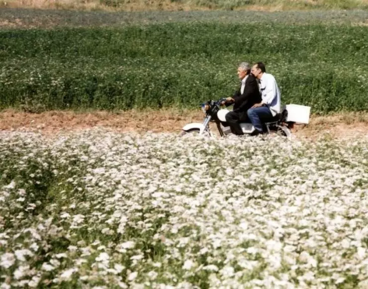 Нас унесет ветер 1999 скачать торрентом Нас унесет ветер 1999 скачать торрентом