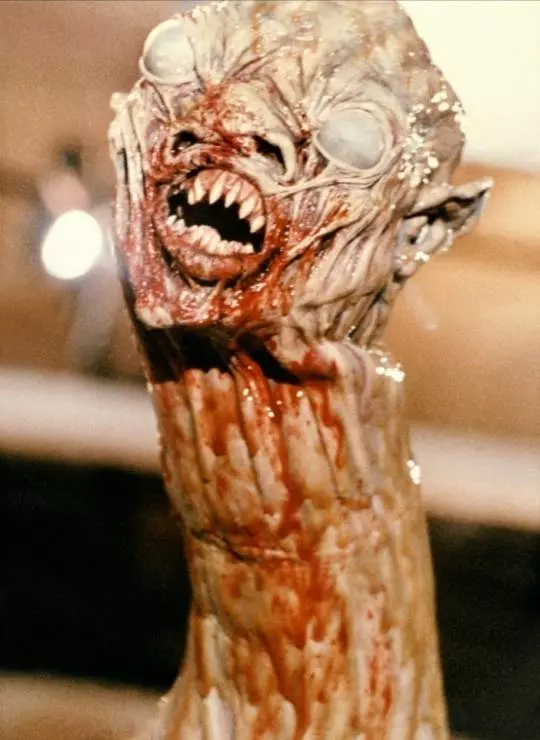 К.Г.П.О. 1984 скачать с торрента К.Г.П.О. 1984 скачать с торрента