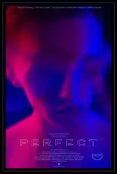 Идеальный / Perfect 2018 скачать через торрент в хорошем качестве
