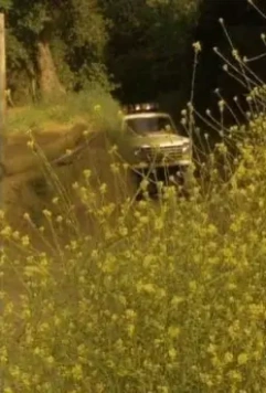 Класс 1999: Новый учитель 1994 скачать с торрента Класс 1999: Новый учитель 1994 скачать с торрента