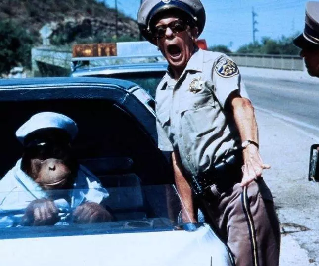 Гонки «Пушечное ядро» 2 1984 скачать торрентом Гонки «Пушечное ядро» 2 1984 скачать торрентом