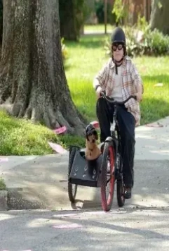 Эйс Вентура младший 2009 скачать торрентом Эйс Вентура младший 2009 скачать торрентом