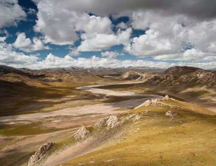 Рождённые в Китае 2016 скачать торрентом Рождённые в Китае 2016 скачать торрентом
