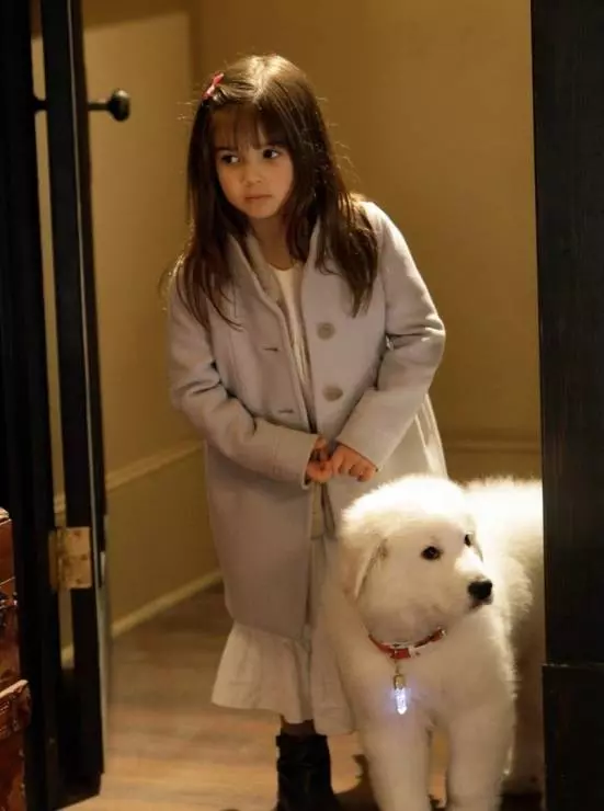 В поисках Санта Лапуса 2010 скачать через торрент бесплатно В поисках Санта Лапуса 2010 скачать через торрент бесплатно