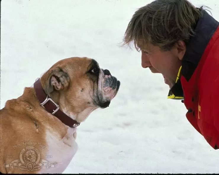 Лыжный патруль 1989 скачать с торрента Лыжный патруль 1989 скачать с торрента