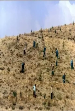 Вкус вишни 1997 скачать торрентом Вкус вишни 1997 скачать торрентом