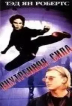 Внутренняя сила / The Power Within 1995 скачать через торрент в хорошем качестве