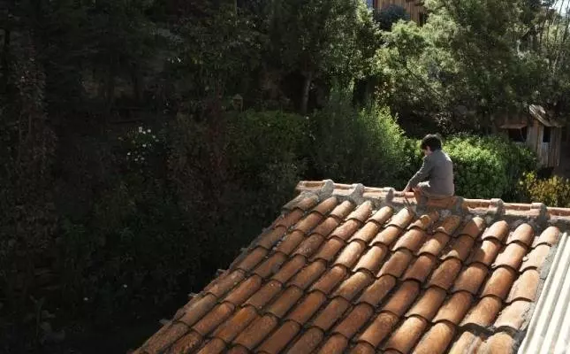 Южная зона 2009 скачать с торрента Южная зона 2009 скачать с торрента