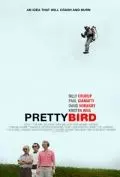 Пташка / Pretty Bird 2008 скачать через торрент в хорошем качестве