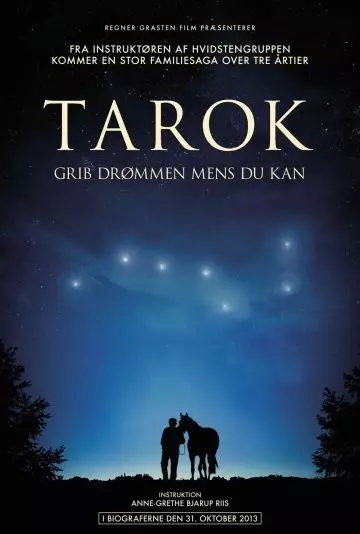 Поймать мечту / Tarok 2013 скачать через торрент в хорошем качестве