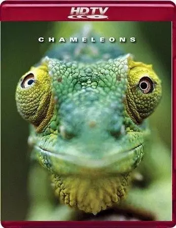 Хамелеоны мира / Chameleons of the world 2011 скачать через торрент в хорошем качестве