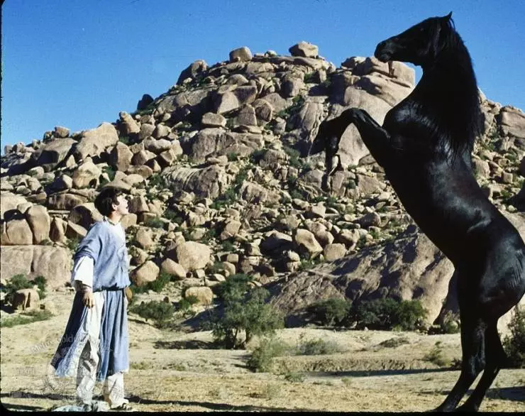 Возвращение черного скакуна 1983 скачать через торрент бесплатно Возвращение черного скакуна 1983 скачать через торрент бесплатно