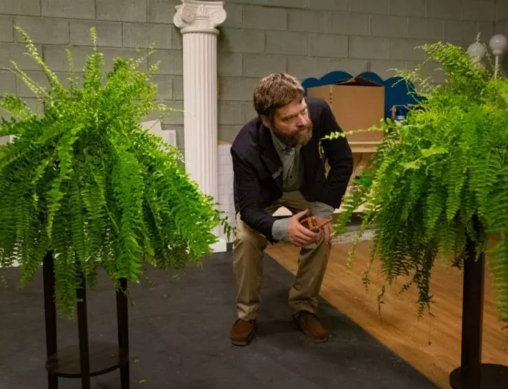 Между двумя папоротниками 2019 скачать с торрента Между двумя папоротниками 2019 скачать с торрента