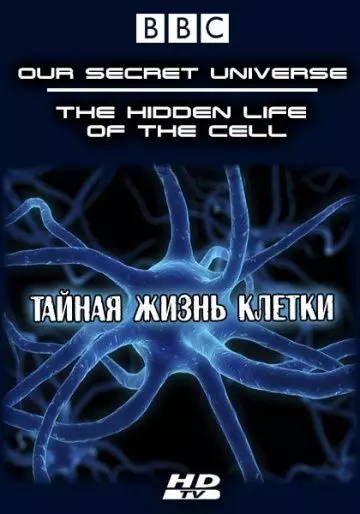 Внутренняя вселенная: Тайная жизнь клетки / Our Secret Universe: The Hidden Life of the Cell 2012 скачать через торрент в хорошем качестве