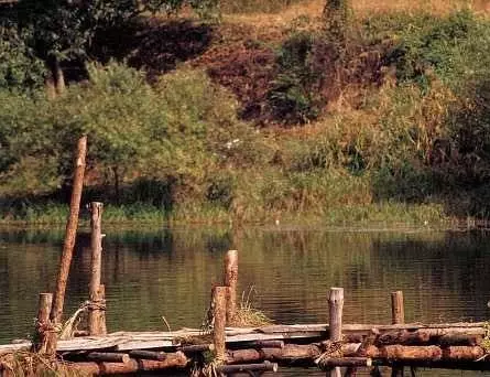 Сочувствие господину Месть 2002 скачать торрентом Сочувствие господину Месть 2002 скачать торрентом