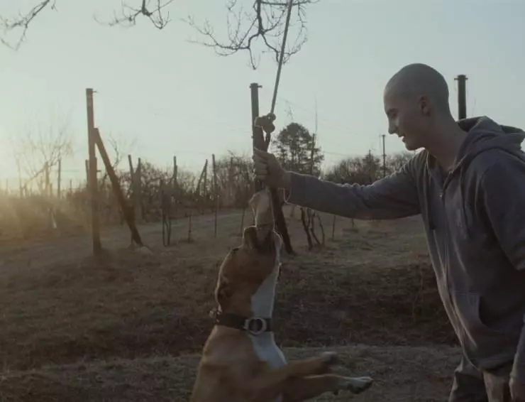 Мой пёс Киллер 2013 скачать торрентом Мой пёс Киллер 2013 скачать торрентом