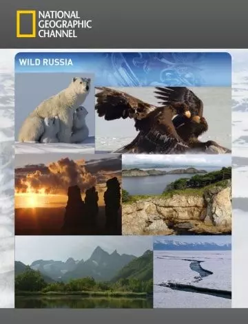 Дикая природа России / Wildes Russland 2008 скачать через торрент в хорошем качестве