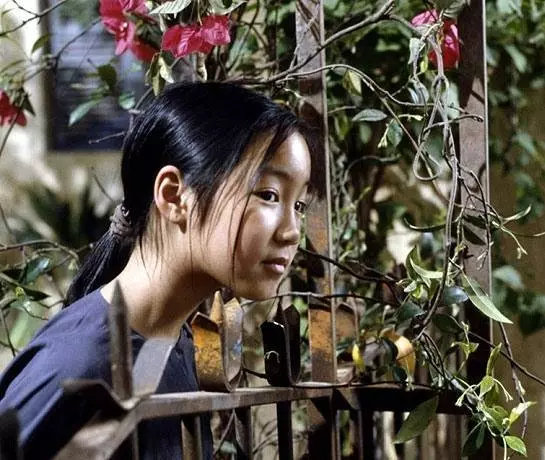 Аромат зелёной папайи 1993 скачать торрентом Аромат зелёной папайи 1993 скачать торрентом