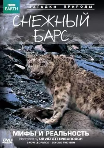 BBC: Снежный барс: Мифы и реальности / Natural World: Snow Leopard - Beyond the Myth 2007 скачать через торрент в хорошем качестве