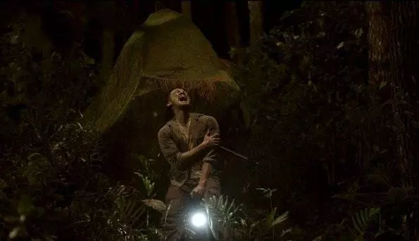 Аномальный вид 2012 скачать через торрент бесплатно Аномальный вид 2012 скачать через торрент бесплатно