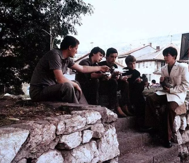 Помнишь ли, Долли Белл? 1981 скачать торрентом Помнишь ли, Долли Белл? 1981 скачать торрентом