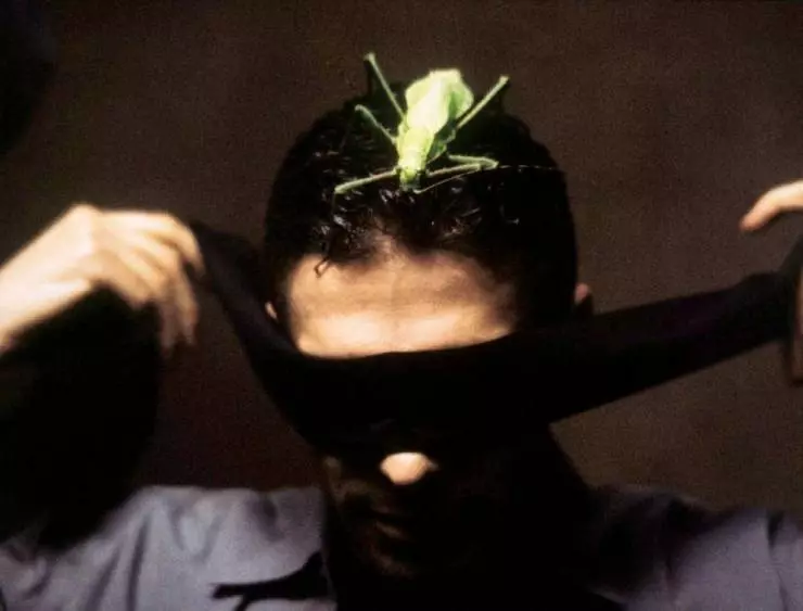 Интакто 2001 скачать через торрент бесплатно Интакто 2001 скачать через торрент бесплатно