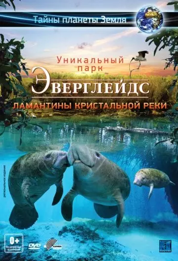 Эверглейдс 3D: Ламантины Кристальной реки / Adventure Everglades 3D: The Manatees of Crystal River 2012 скачать через торрент в хорошем качестве