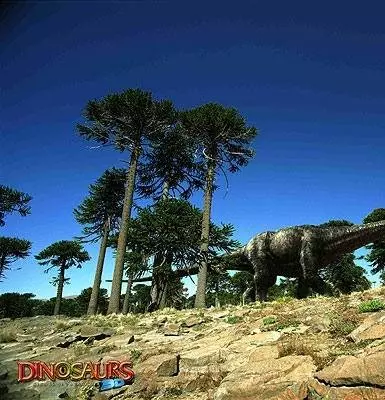 Динозавры Патагонии 3D 2007 скачать с торрента Динозавры Патагонии 3D 2007 скачать с торрента