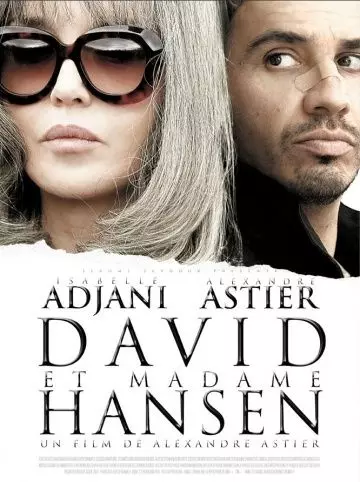 Давид и мадам Ансен / David et Madame Hansen 2012 скачать через торрент в хорошем качестве