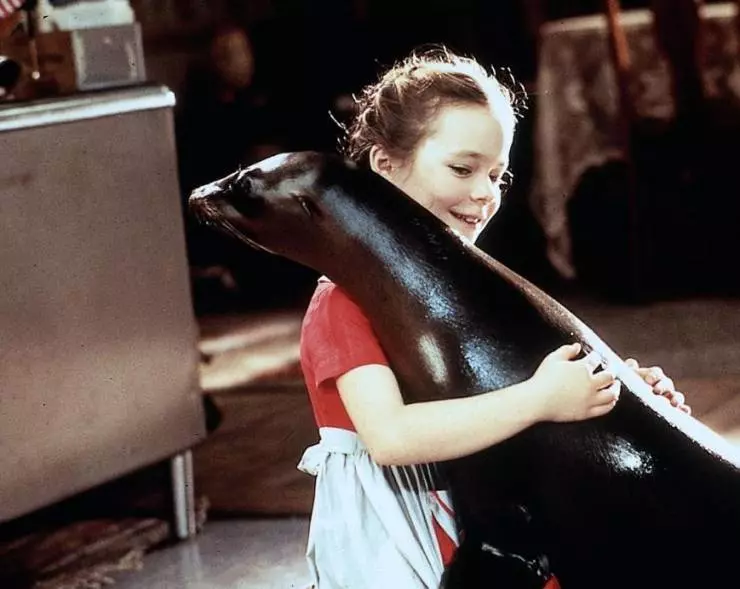 Андре 1994 скачать с торрента Андре 1994 скачать с торрента