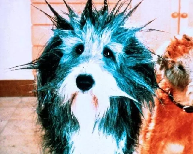 Эркюль и Шерлок против мафии 1996 скачать торрентом Эркюль и Шерлок против мафии 1996 скачать торрентом