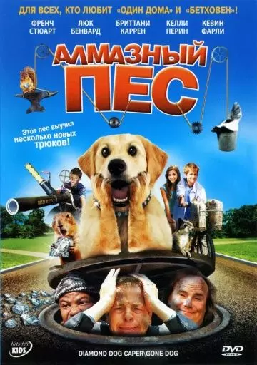 Алмазный пес / Dog Gone 2008 скачать через торрент в хорошем качестве