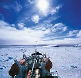 Встречи на краю света 2007 скачать торрентом Встречи на краю света 2007 скачать торрентом