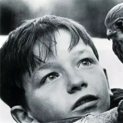 Кес 1969 скачать через торрент бесплатно Кес 1969 скачать через торрент бесплатно