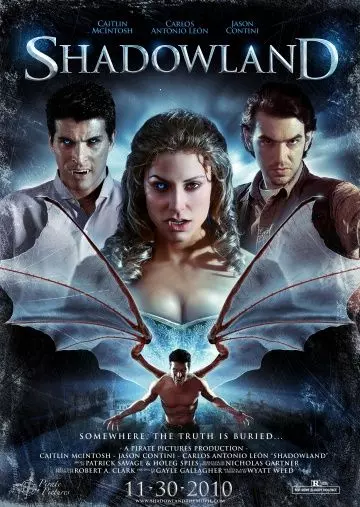 Царство теней / Shadowland 2008 скачать через торрент в хорошем качестве