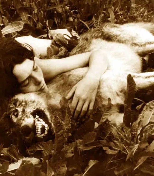 Серебряные головы 1998 скачать с торрента Серебряные головы 1998 скачать с торрента