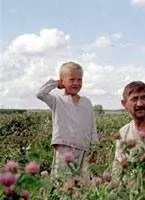 Время жатвы 2004 скачать через торрент бесплатно Время жатвы 2004 скачать через торрент бесплатно