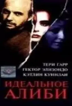 Идеальное алиби / Perfect Alibi 1995 скачать через торрент в хорошем качестве