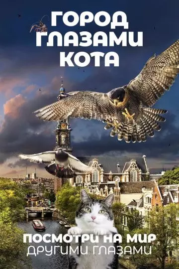 Город глазами кота / Wild Amsterdam 2018 скачать через торрент в хорошем качестве