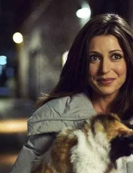 Все хотят быть итальянцами 2007 скачать с торрента Все хотят быть итальянцами 2007 скачать с торрента