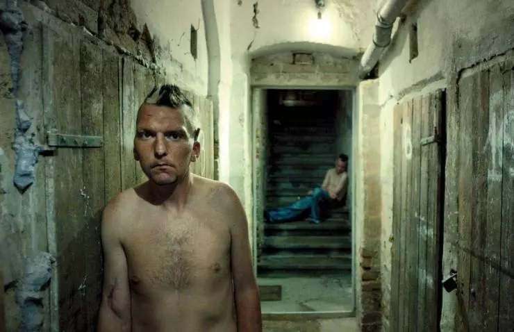 В подвале 2014 скачать с торрента В подвале 2014 скачать с торрента