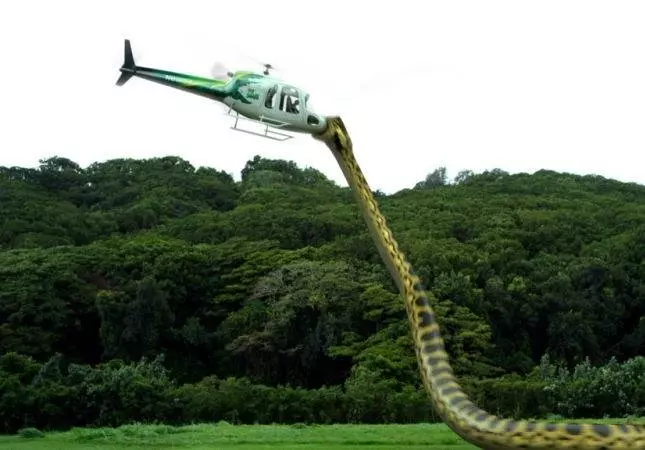 Пираньяконда 2012 скачать через торрент бесплатно Пираньяконда 2012 скачать через торрент бесплатно