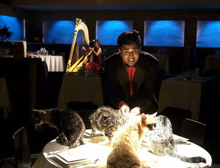 Верзила Салмон 2009 скачать через торрент бесплатно Верзила Салмон 2009 скачать через торрент бесплатно