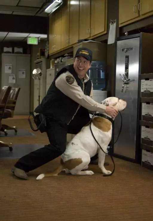 Пиво моим лошадям 2008 скачать через торрент бесплатно Пиво моим лошадям 2008 скачать через торрент бесплатно