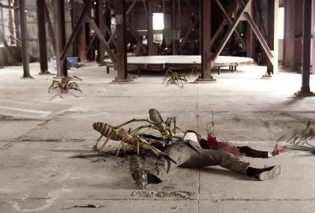 Верблюжьи пауки 2011 скачать торрентом Верблюжьи пауки 2011 скачать торрентом