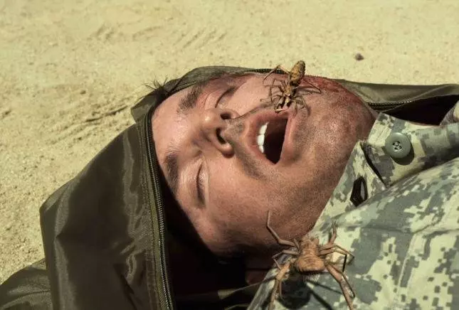 Верблюжьи пауки 2011 скачать через торрент бесплатно Верблюжьи пауки 2011 скачать через торрент бесплатно