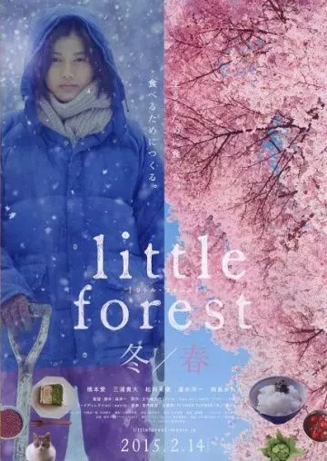 Небольшой лес: Зима и весна / Little Forest Winter Spring 2015 скачать через торрент в хорошем качестве